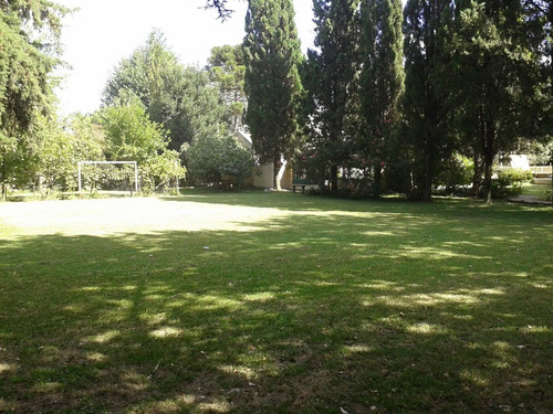 Imagen 9 de 14 de Casa Quinta - Retasada , En Importante Fraccion Arbolada