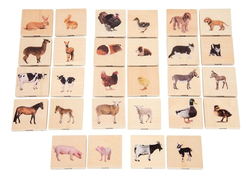 Tickit Partido De La Familia De Animales Domésticos Juego De