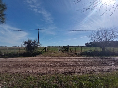 Campo 4 Hectareas El Candil San Andres De Giles Financia