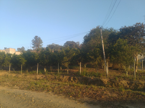 Chácara Com 4.000 Metros Quadrados