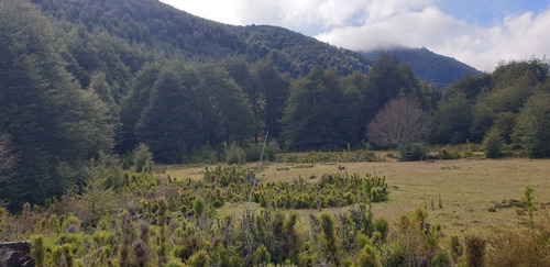 Refugio Llaima: Desde 5000m2 A Orillas Del Río Huichahue