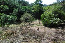 Imagem 10 de 15 de Venda Residential / Land Lot Serra Da Cantareira Mairiporã - 1291