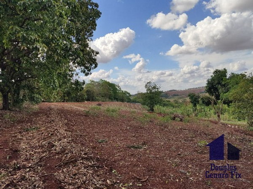 Imagem 13 de 16 de Rural Chacara - 775286-v
