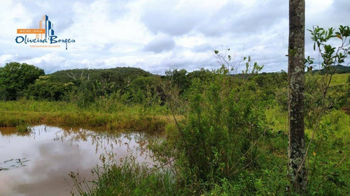 Chácara Com 1 Dormitório À Venda, 20000 M² Por R$ 235.000,00 - Zona Rural - Pirenópolis/go - Ch0077