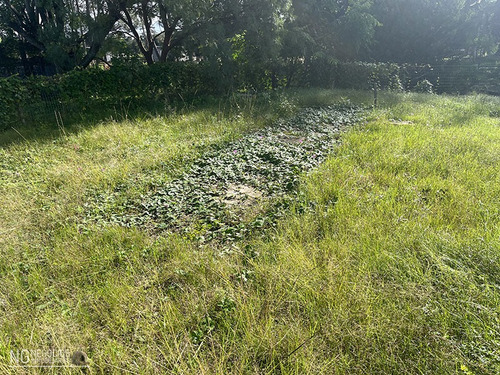 2 Locales Comerciales En Cuchilla Alta Norte Frente A Ruta Interbalnearia