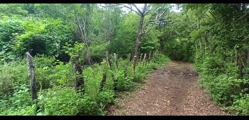 Imagen 9 de 30 de Se Vende Finca De 154 Manzanas