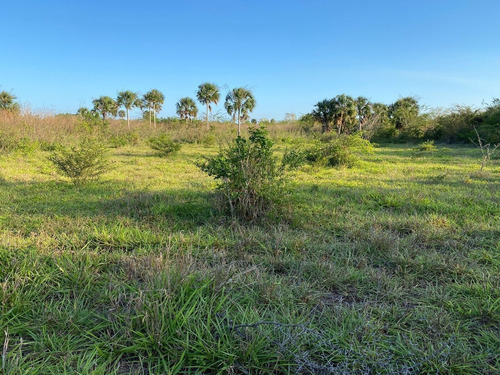 Rancho Ganadero En Tizimín, Yucatán