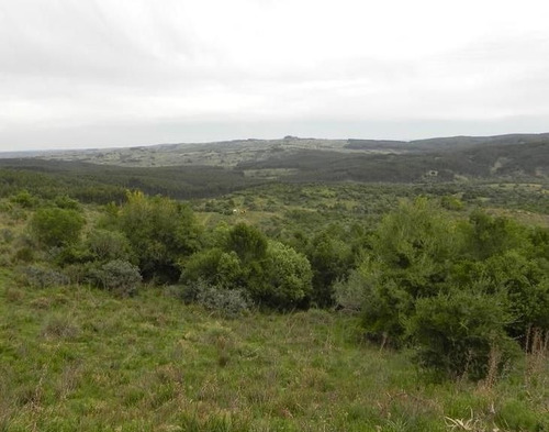 Quinta En Venta En Garzon