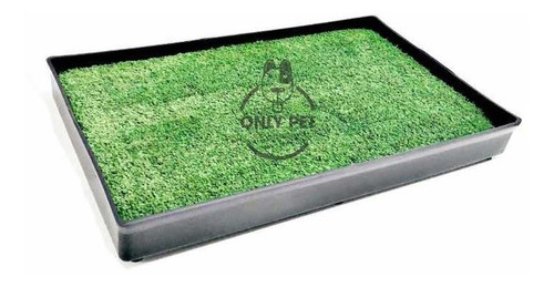 Bandeja Sanitaria,baño Para Perros Grandes (63x40x7)