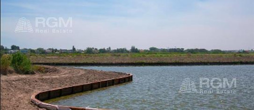 Imagen 7 de 11 de Terreno - Los Puentes