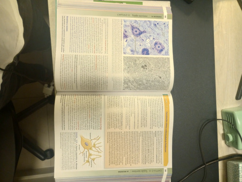 Imagen 2 de 2 de Histología Y Atlas De Ross