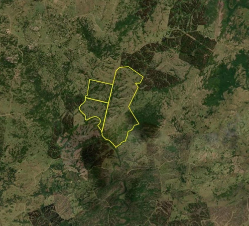 Venta De Campo Ganadero - Forestal En Rocha / Maldonado