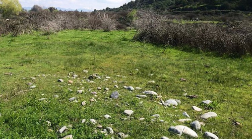 Maravillosa Parcela De Agrado 5000 Mts2 Las Pircas De Teno