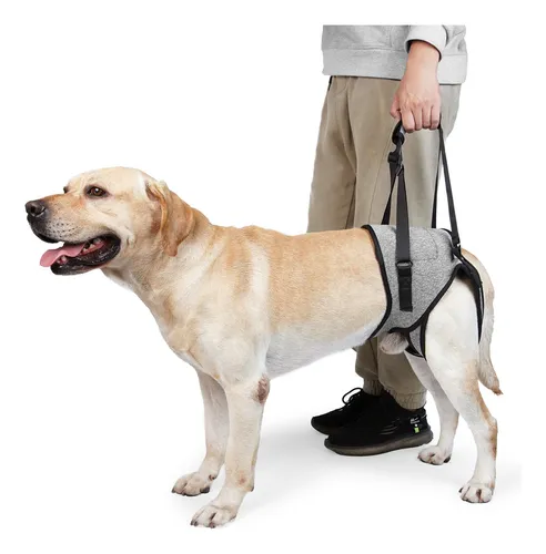 comprar Arneses Ajustables Para Perros, Patas Traseras, Grandes, De