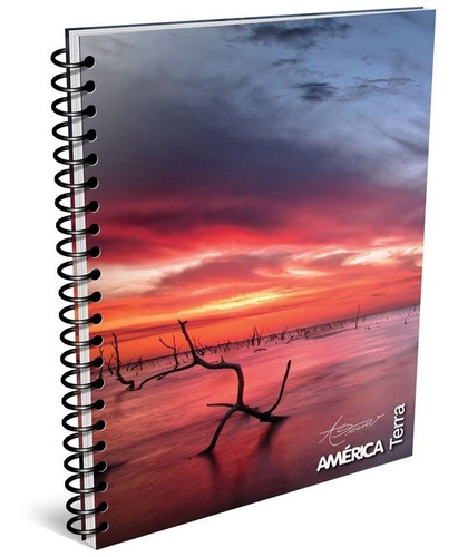 Cuaderno Universitario Cuadriculado Pack X10 Terra