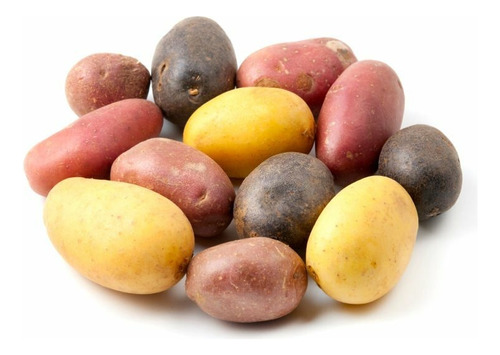 100 Semillas De Patata Multicolores Salute + Regalo