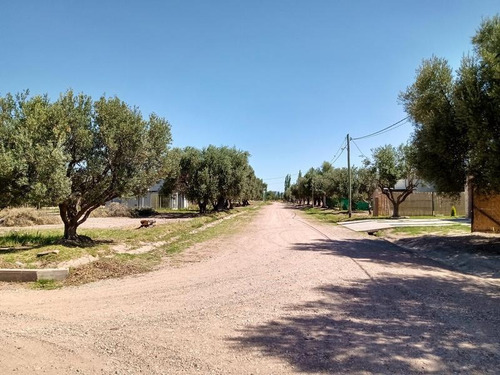 Imagen 8 de 25 de Lotes En Los Cardos Club De Campo