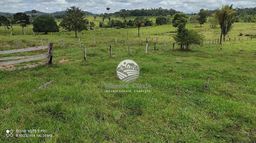 Imagem 8 de 21 de Venda Sítio Ariquemes Em Rondônia - Siv110