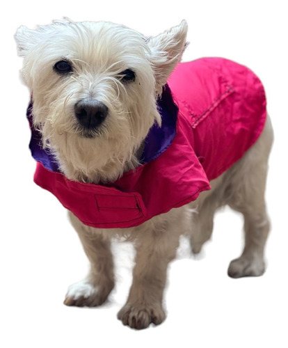 Capa Impermeable Mascota L