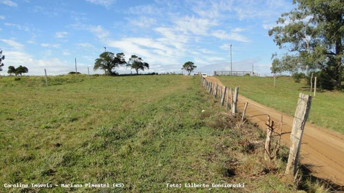 Área Rural Para Venda Em Mariana Pimentel, Boqueirão - 1153_1-779115