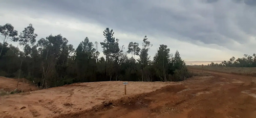 Parcelas En  Florida  Con  Electricidad   Desde 25m