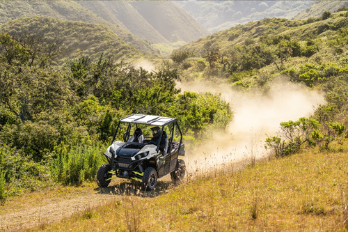Kawasaki Teryx S Le