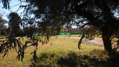 Lote En Bº Semicerrado El Álamo, La Bota