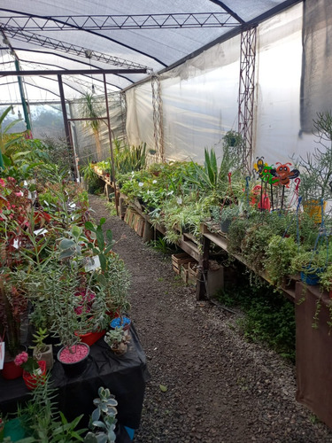 Comercio En Venta