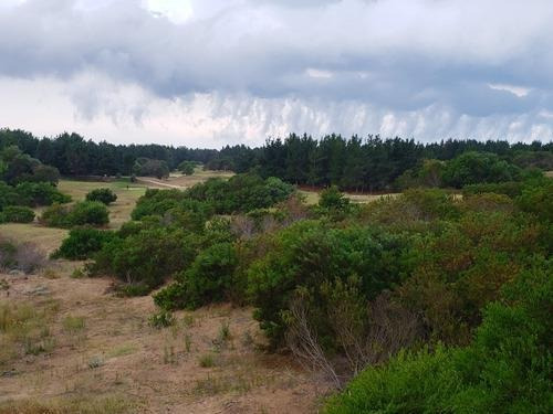 Imagen 2 de 4 de Lote Interno En Costa Esmeralda Pinamar
