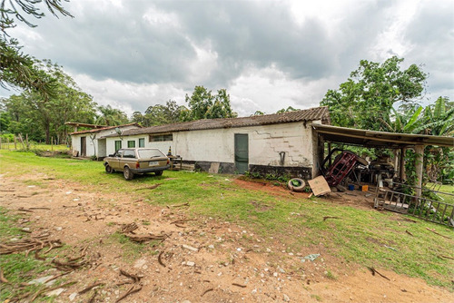 Imagem 21 de 30 de Sitio Rural - Praia Paulistanas - Reo639076