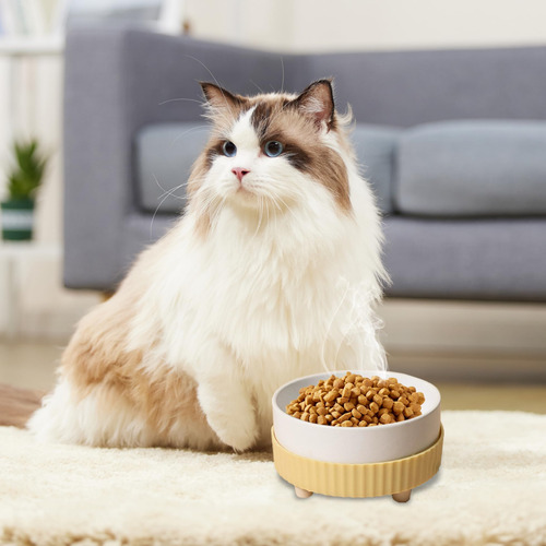 Bowl De Mascotas Caliente Para Invierno.mantiene Agua Tibia