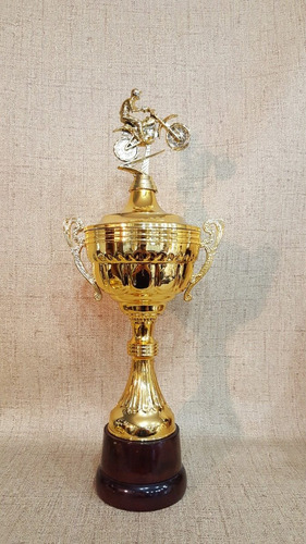 Copa Trofeo Plástico Asas Motocross Base Madera 46 Cm