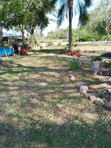 Quinta