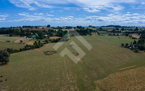 Imagen 13 de 19 de Sitio En Venta En Brisas De Loncotoro