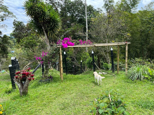 Imagen 3 de 18 de Vendo O Permuto Finca Silvania Cundinamarca