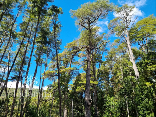 Campo Con 147.2 Metros Orilla De Río Puelo En Segundo Corral