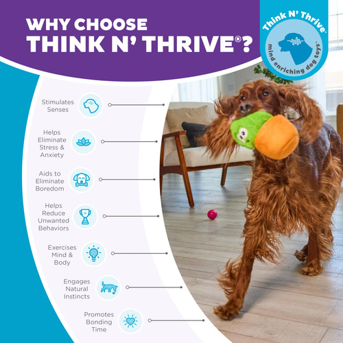 Puzzle Interactivo Para Perros De Peluche Outward Hound Nina