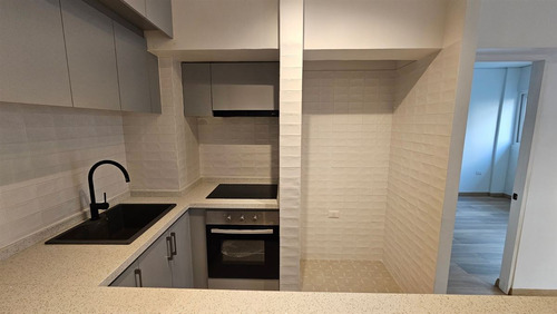 Full Remodelado, Como Nuevo, Depto. De 1 D En Santiago