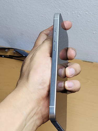 Apple Iphone 16 Pro Max (256 Gb) - Titanio Blanco At&t Esim Plateado (Usado)