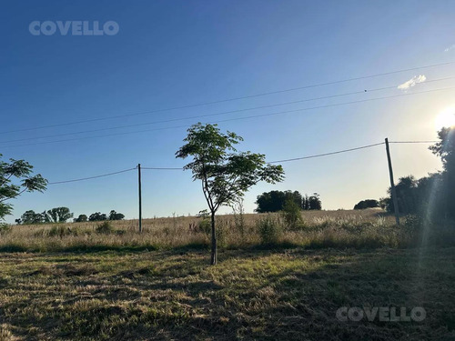 Se Vende Chacra De 3 Ha 7761m2 A 4,5 Km Del Parque Rodó, San José De Mayo