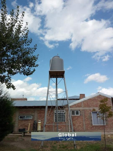 Imagen 17 de 26 de Excelente Finca De 31 Has En San Rafael , Mendoza Zona Vitivinícola Argentina
