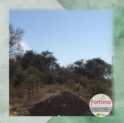 Imagen 1 de 1 de Lote En Tierras Del Sauce