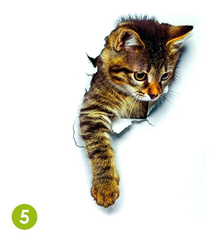 Vinilo Adhesivo 3d, Póster De Gato, Decoración.