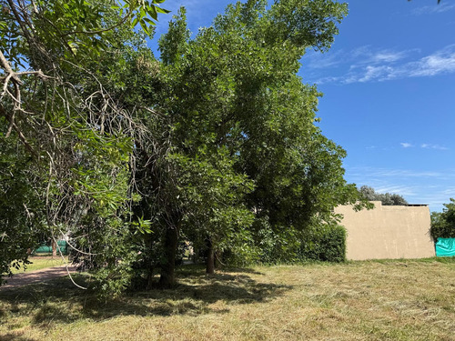 Lote En Venta En Pueblo Nuevo