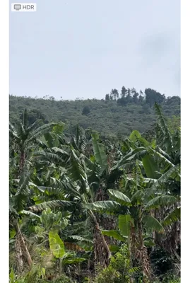 Finca en venta