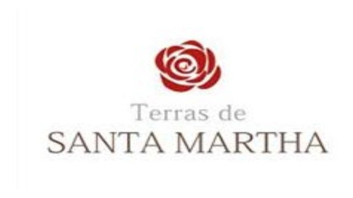 Imagem 1 de 1 de Terreno Com 261 M², Lote Em Ilha, Localizado No Terras De Santa Martha - Te00263 - 69491420