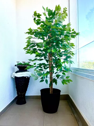 Planta Artificial Gomero Verde 100cm