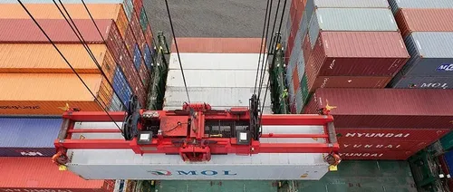Despachante De Aduana - Importacion / Exportacion Ncm Comex