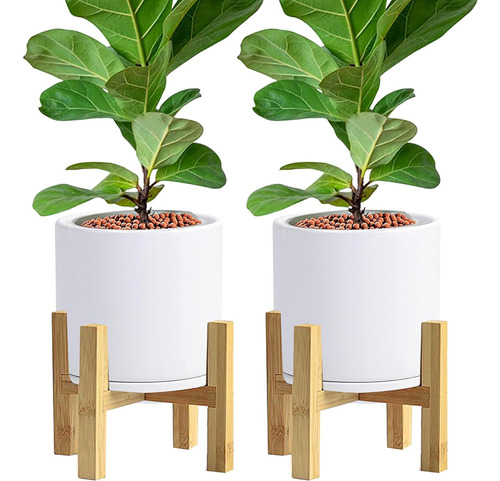 2 Paquetes De Soportes De Plantas Pequeñas De Bambú, ...