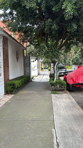 Terreno Limpio En Calle Tranquila Con Camellon De Palmeras En Colonia Narvarte